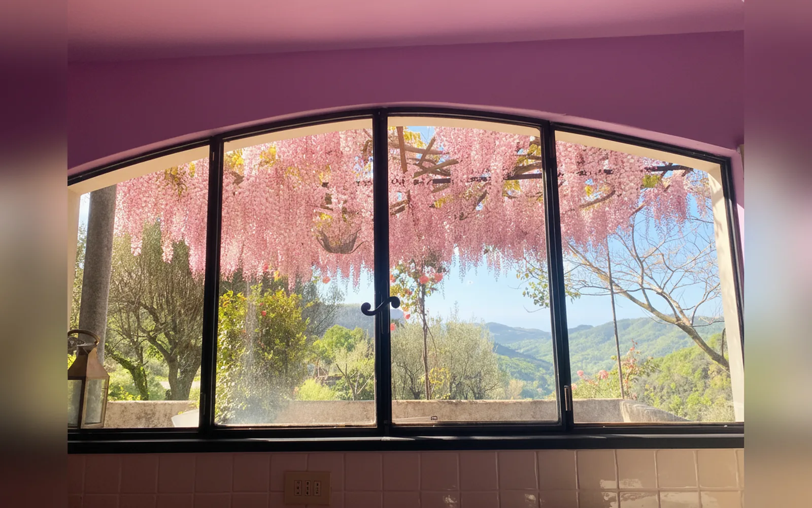 Antica casa del canto, Calice Ligure (Liguria) — galleria foto 104