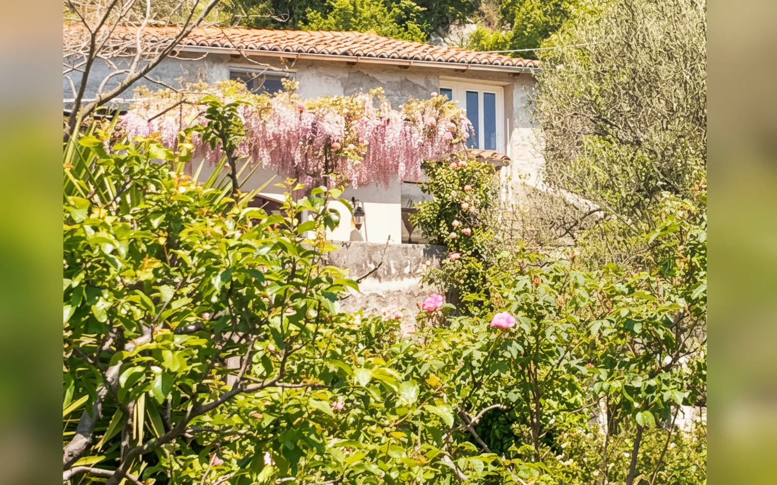 Antica casa del canto, Calice Ligure (Liguria) — galleria foto 63