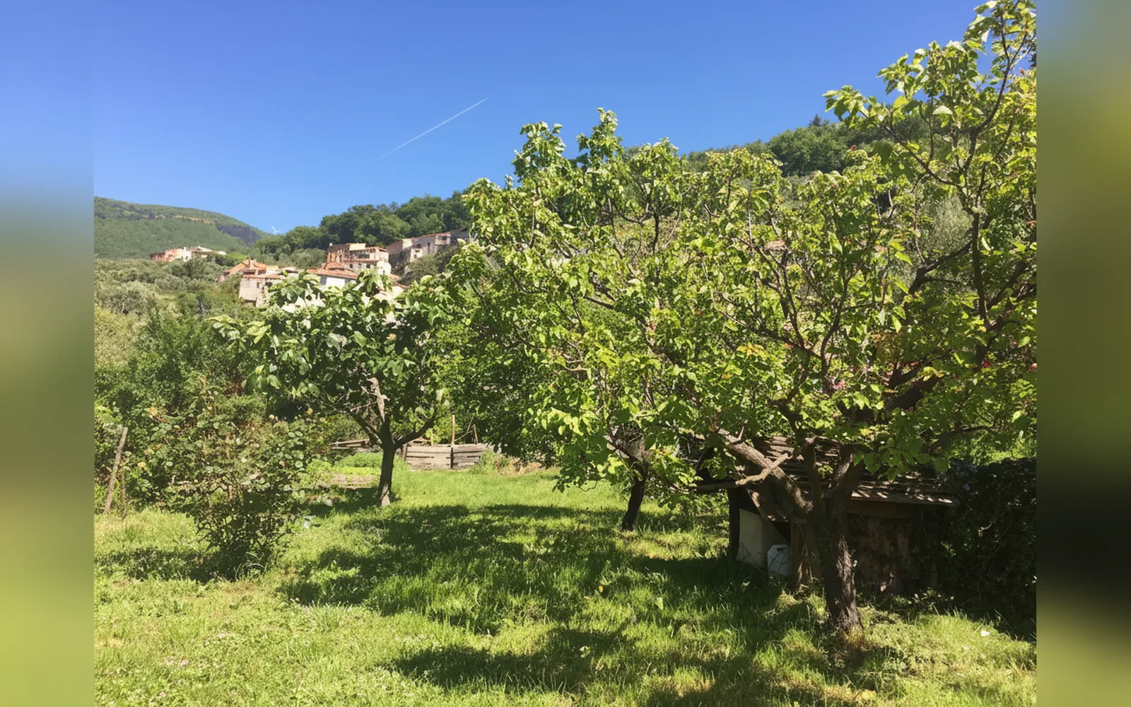 Antica casa del canto, Calice Ligure (Liguria) — galleria foto 81